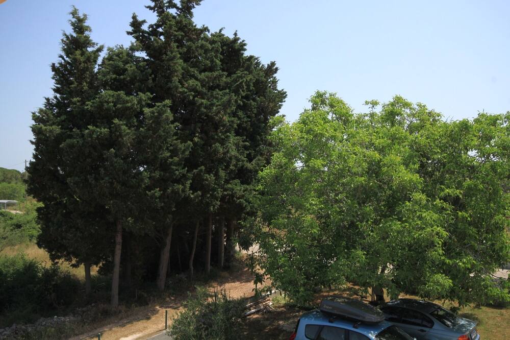 Photo of Outdoor in Muline