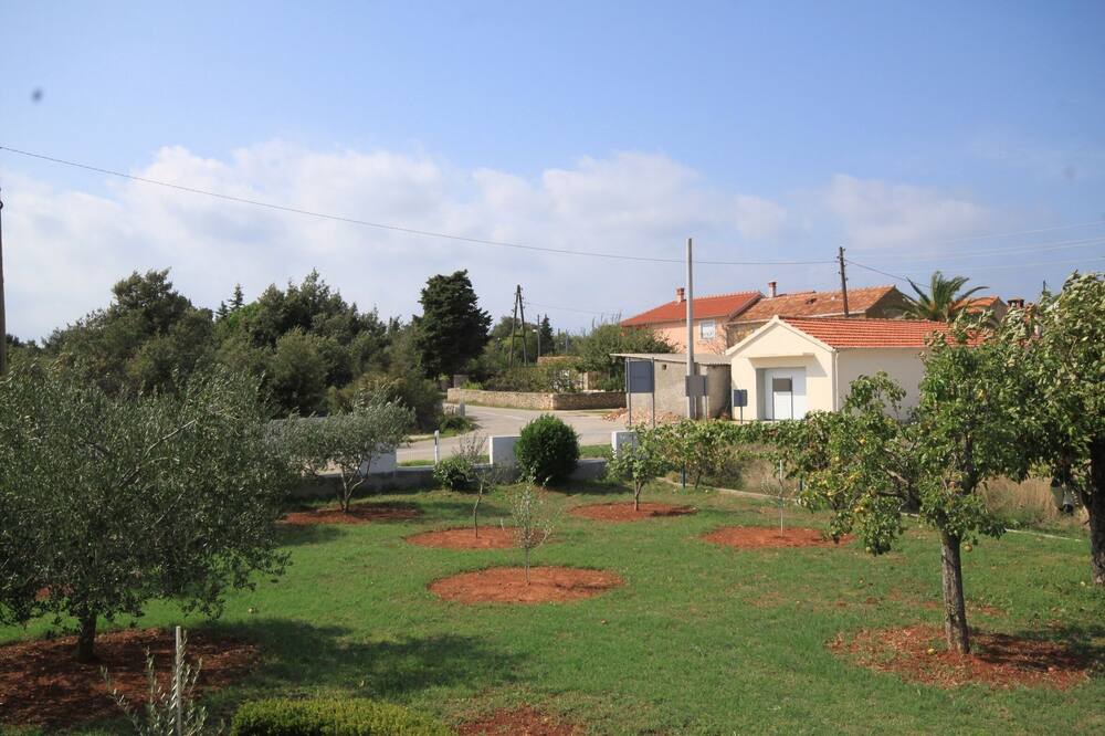 Photo of Others in Muline