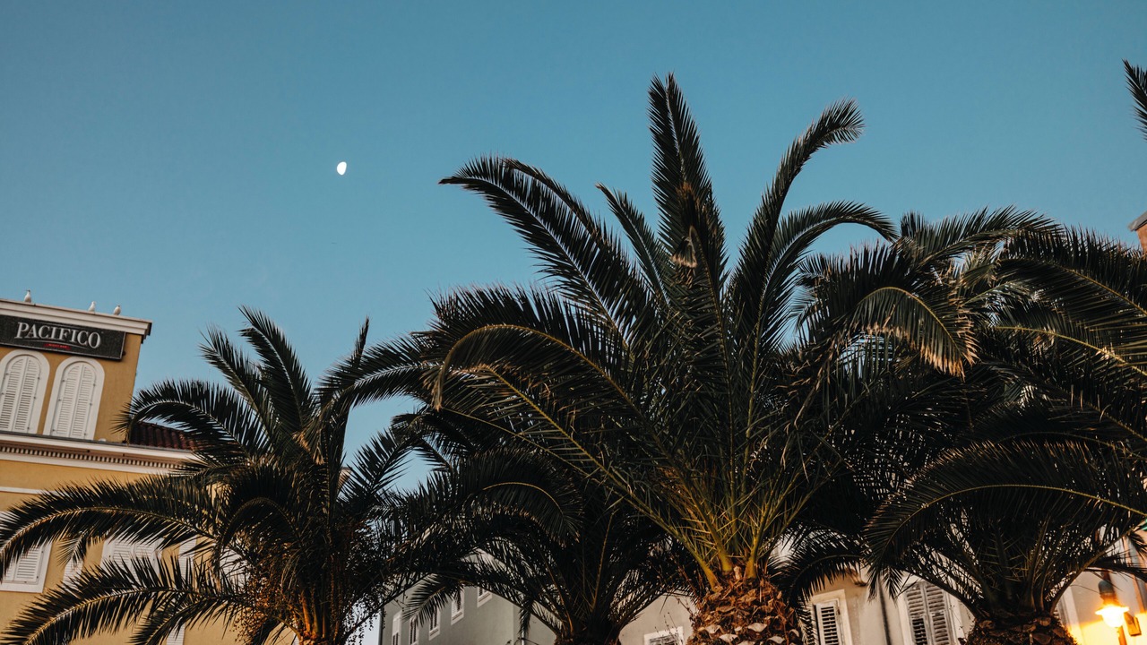 Photo of Outdoor in Cove Murtar