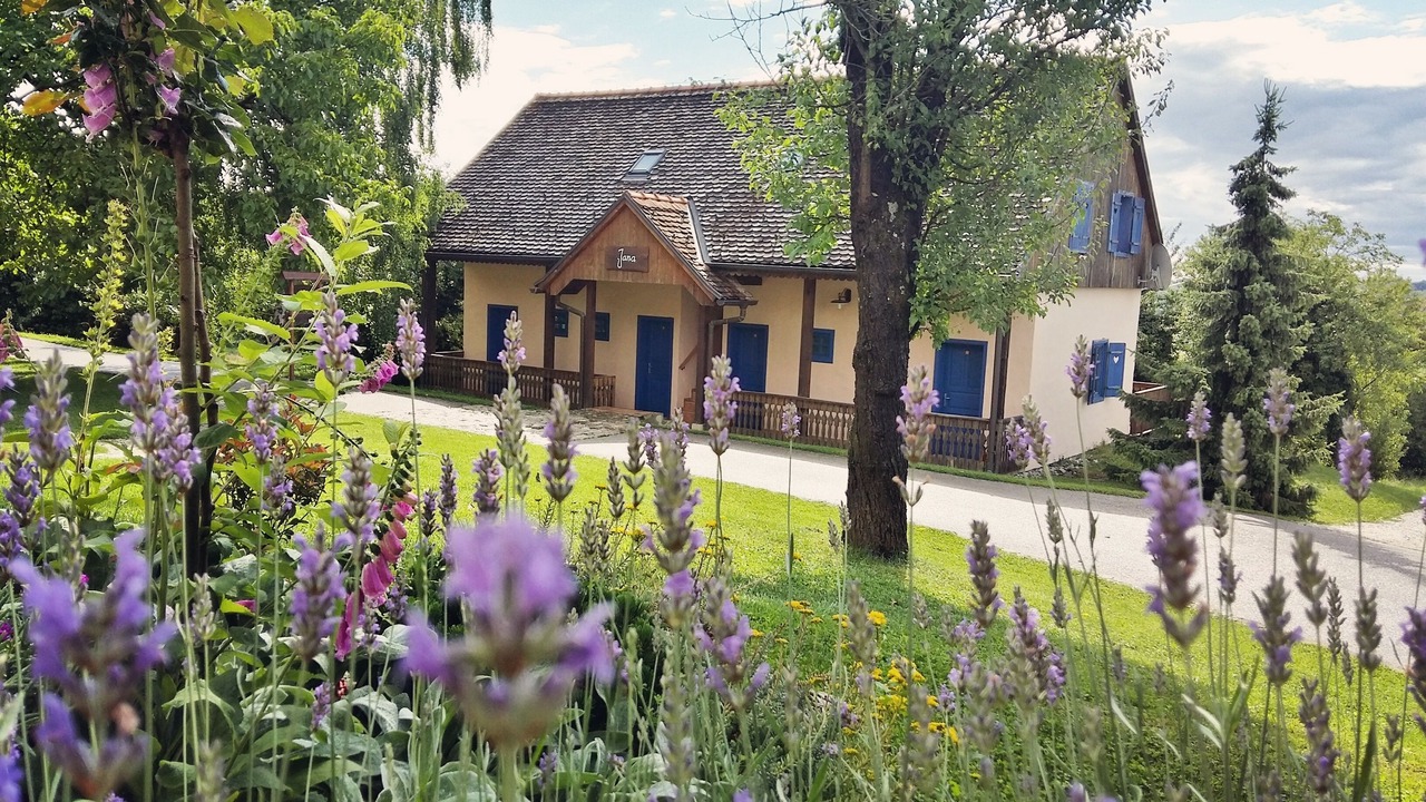 Photo of Outdoor in Skaricevo
