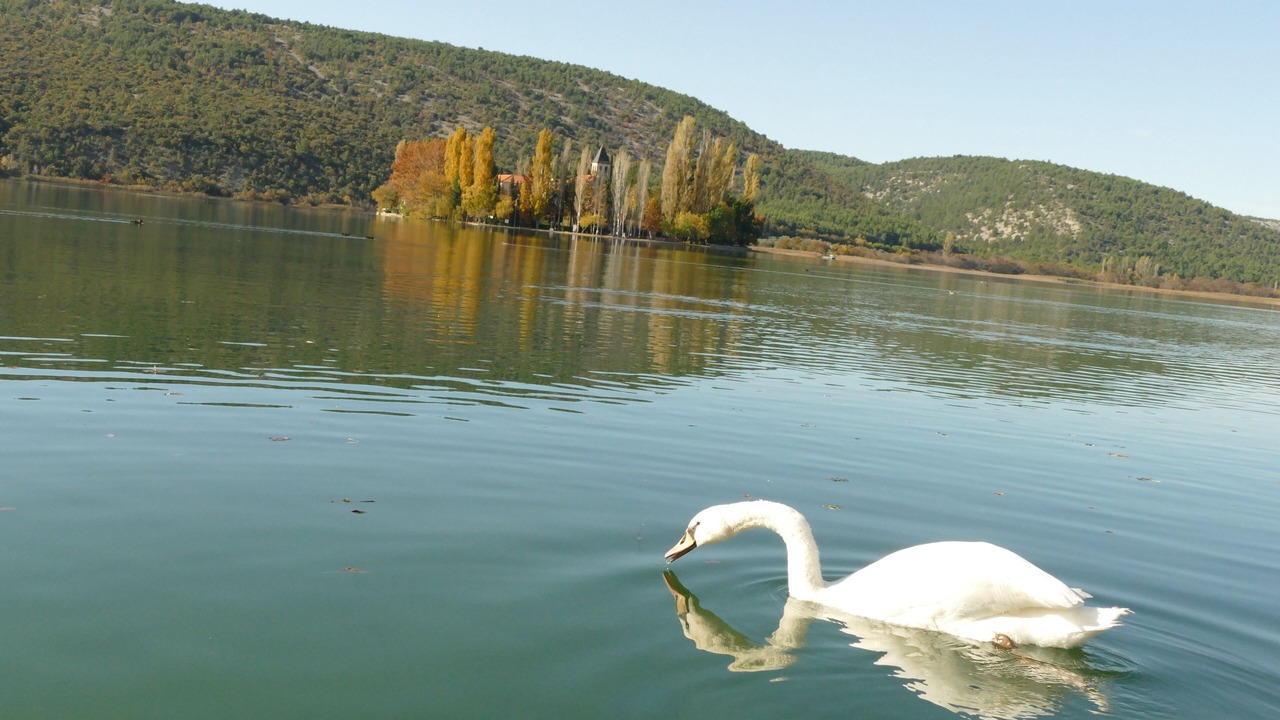 Photo of Others in Sibenik