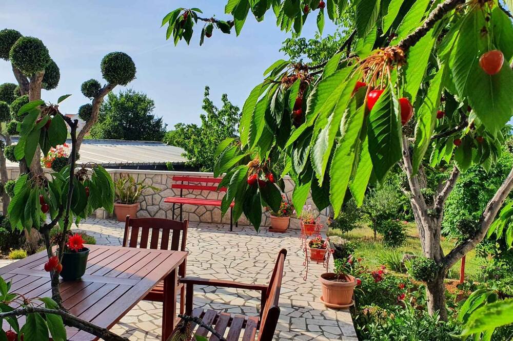 Photo of Outdoor in Polje