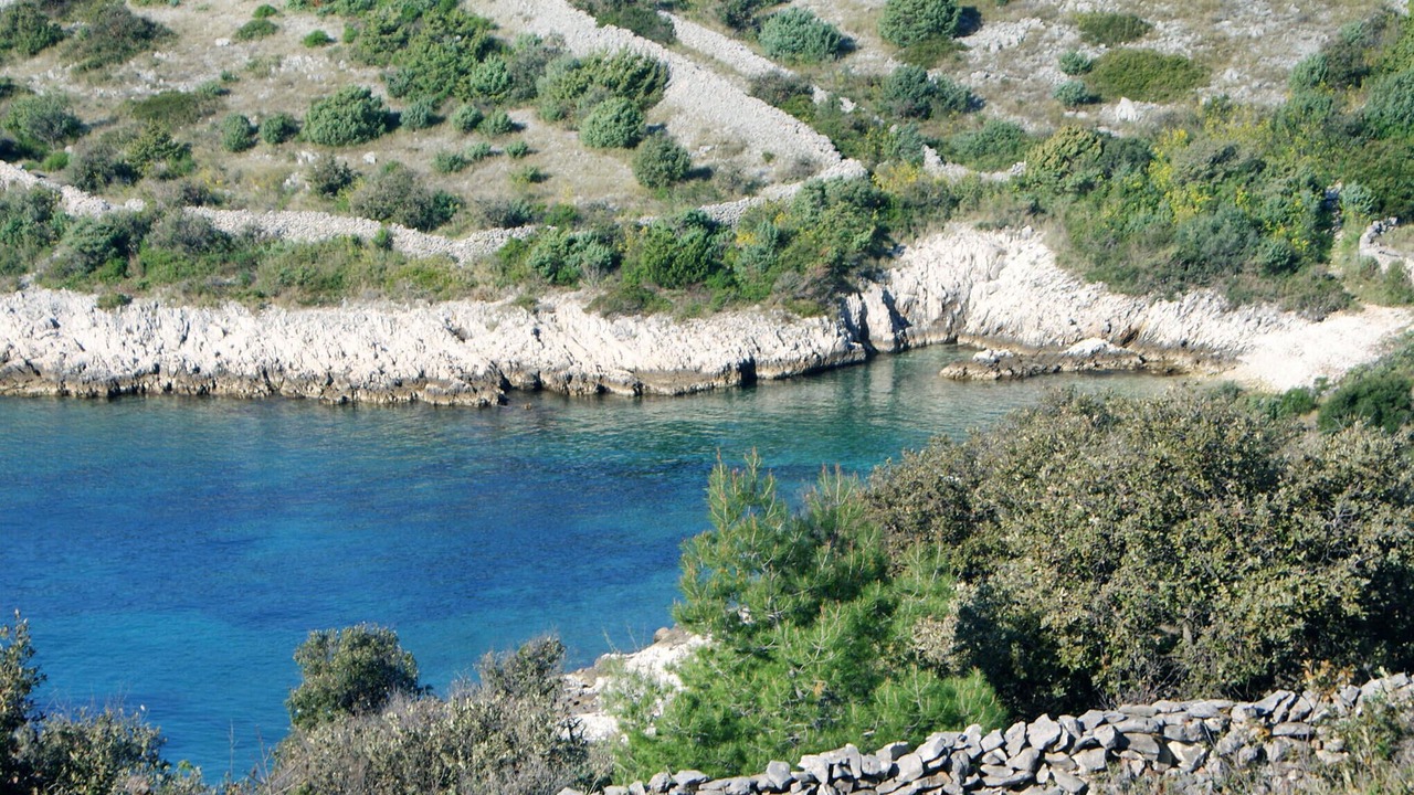 Photo of Others in Dvornica
