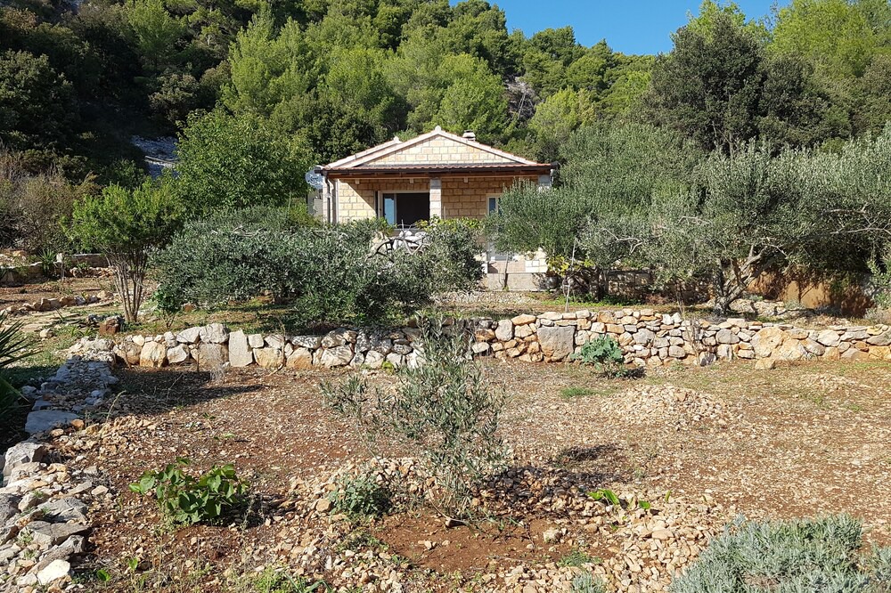 Photo of Outdoor in Bogomolje