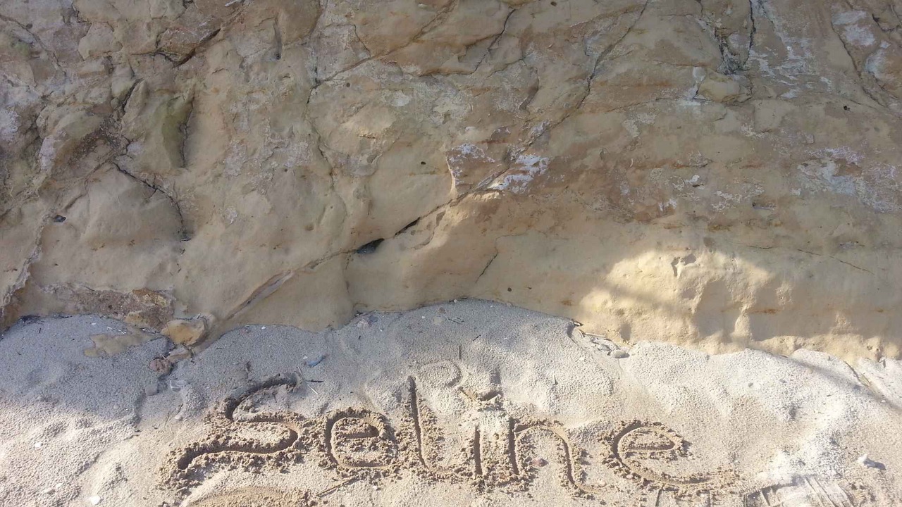 Photo of Outdoor in Seline