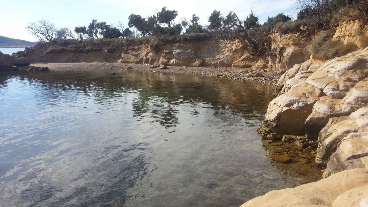 Photo of Others in Seline