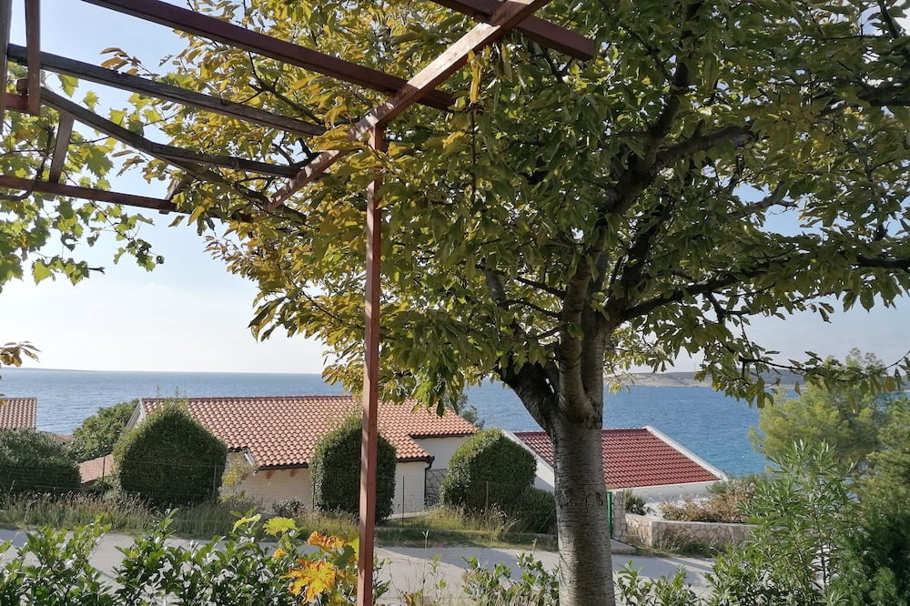 Photo of Outdoor in Miholascica