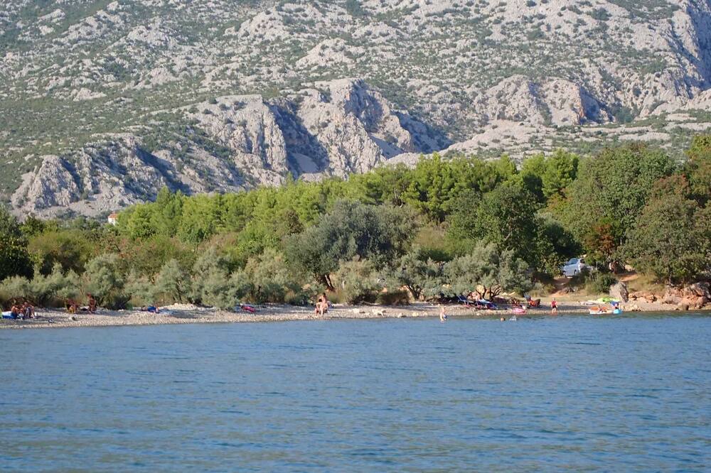Photo of Others in Seline