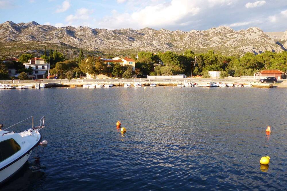 Photo of Others in Seline