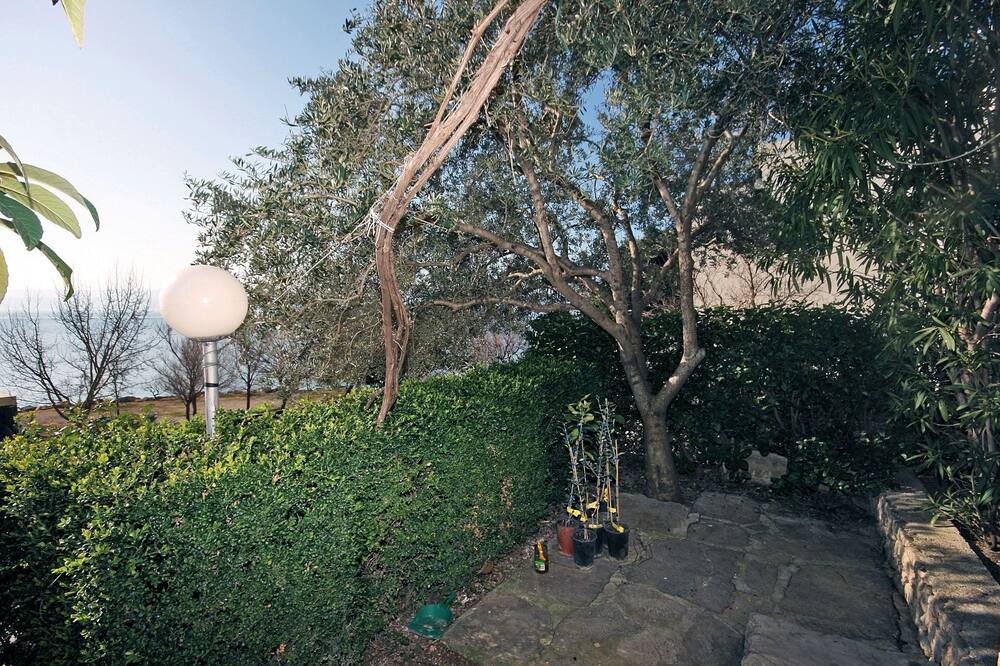 Photo of Outdoor in Dugi Rat
