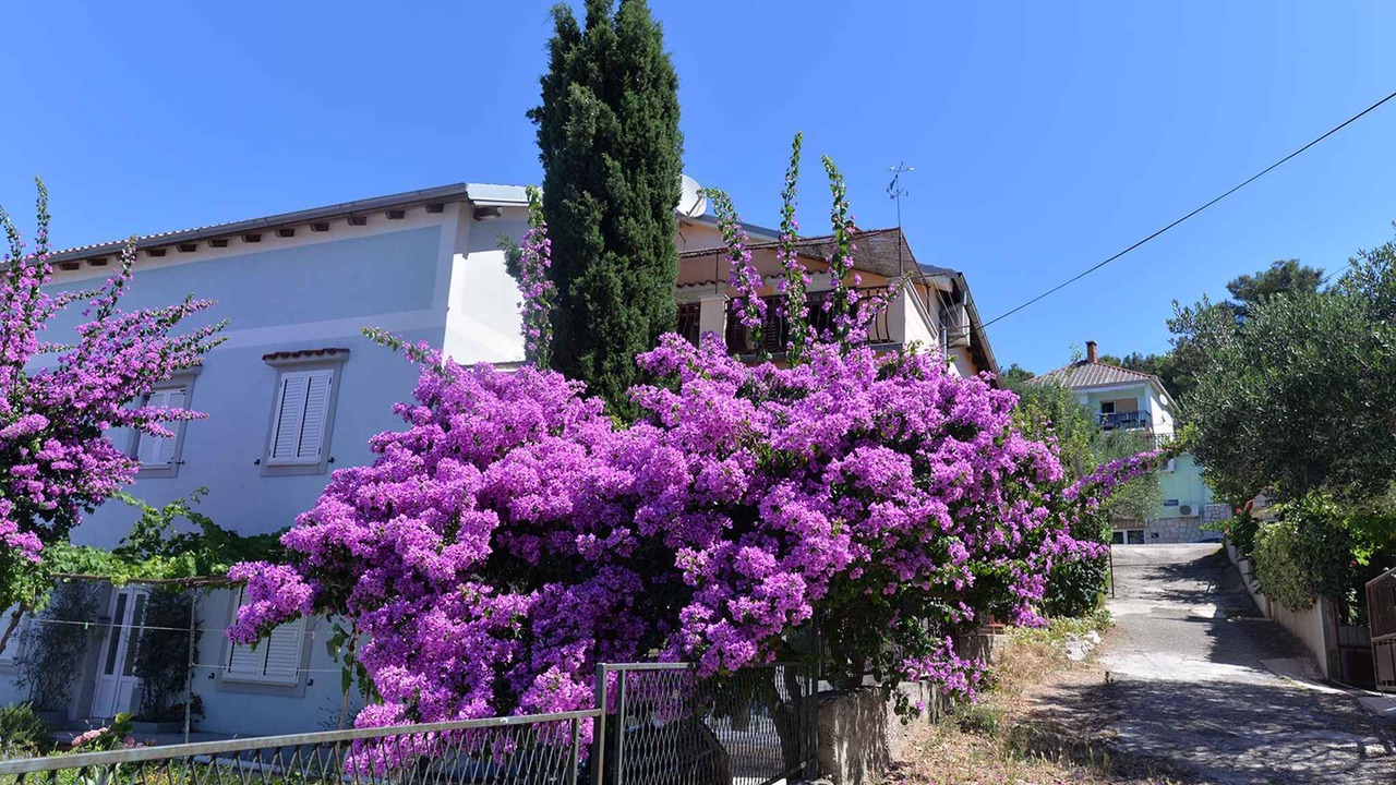 Photo of Outdoor in Cove Murtar