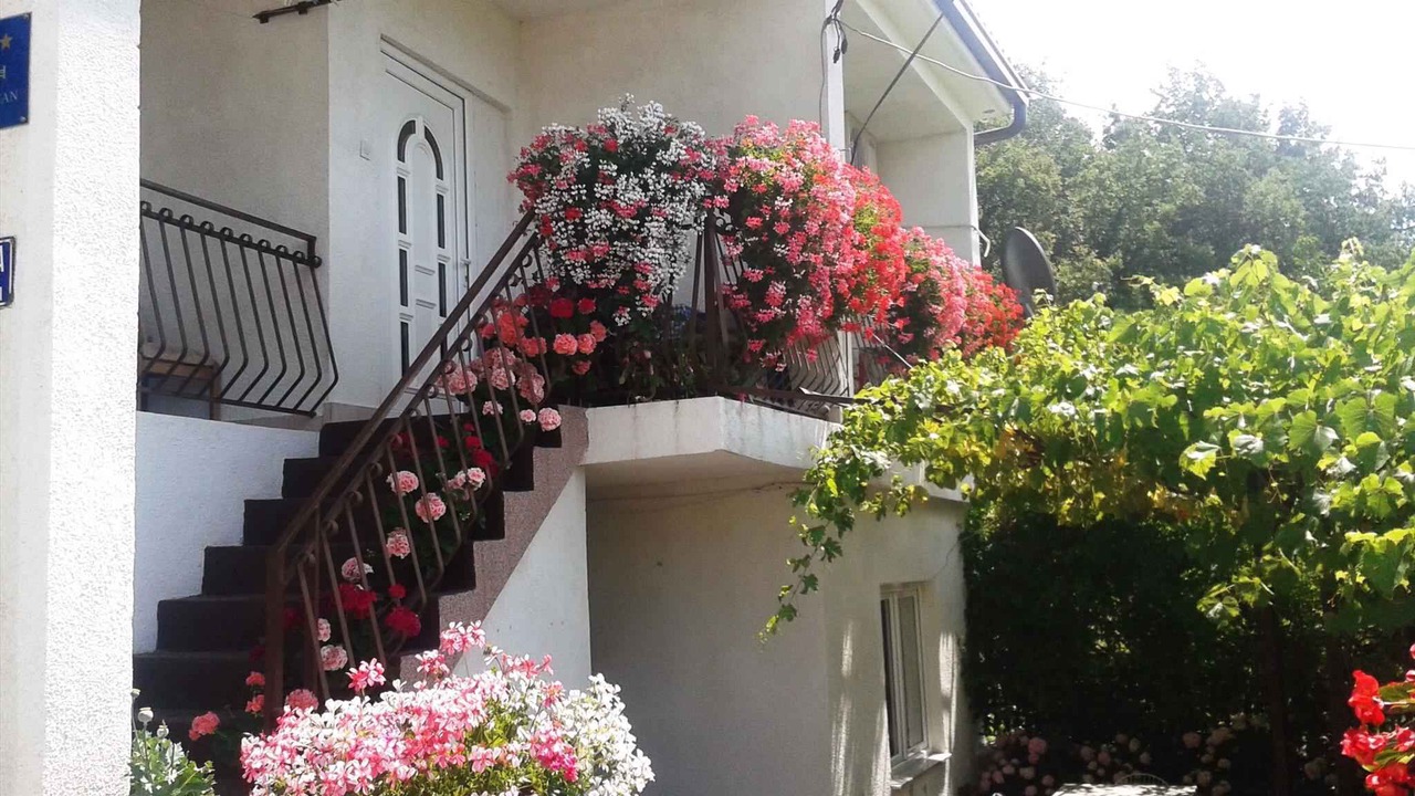 Photo of Outdoor in Bribir