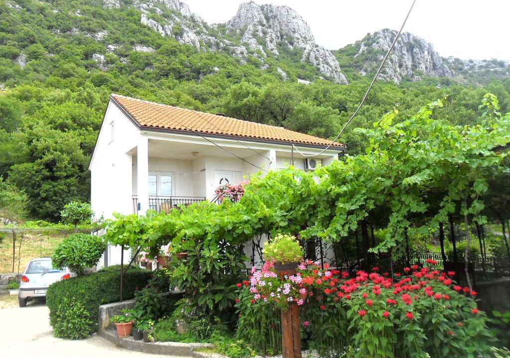 Photo of Outdoor in Bribir