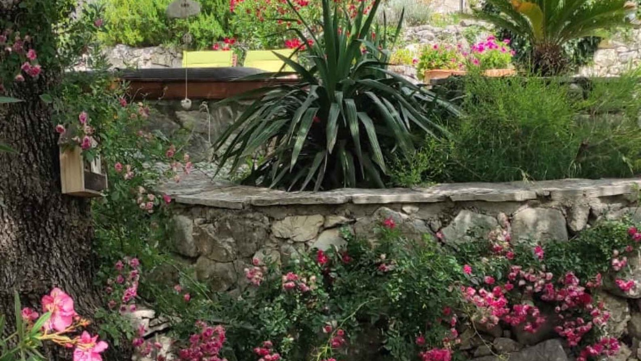 Photo of Outdoor in Tucepi