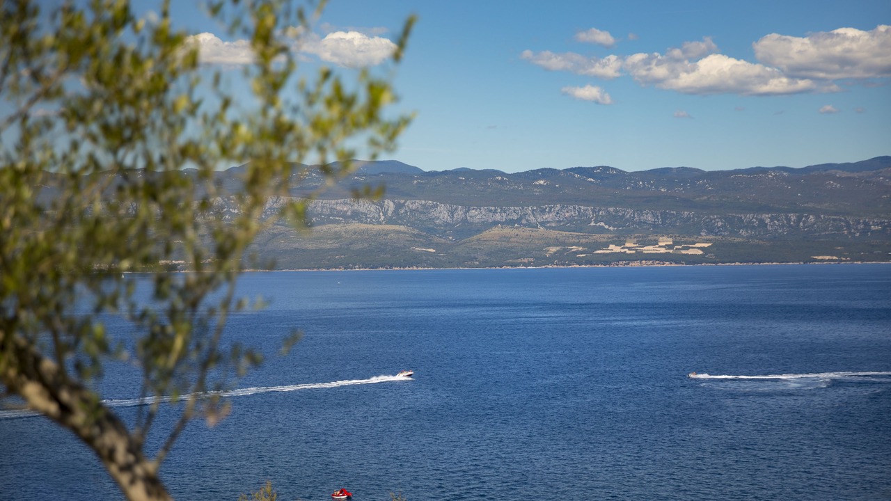 Photo of Others in Vrbnik