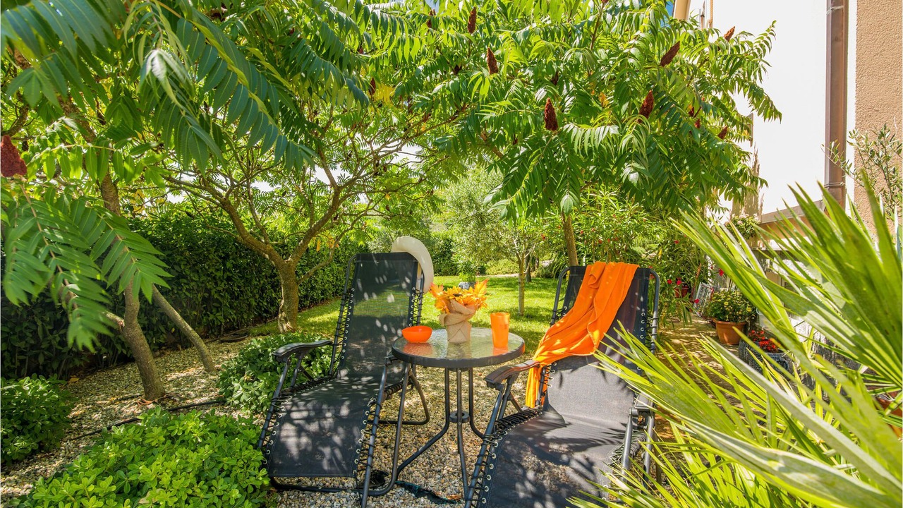 Photo of Outdoor in Nenadici