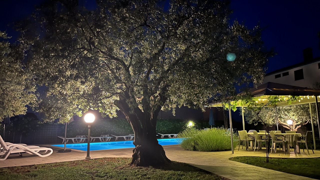 Photo of Outdoor in Mali Maj
