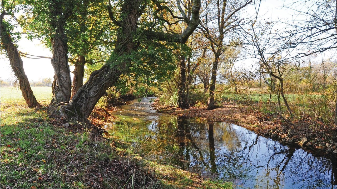 Photo of Outdoor in Citluk