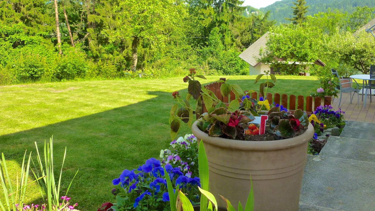 Photo of Outdoor in Bled