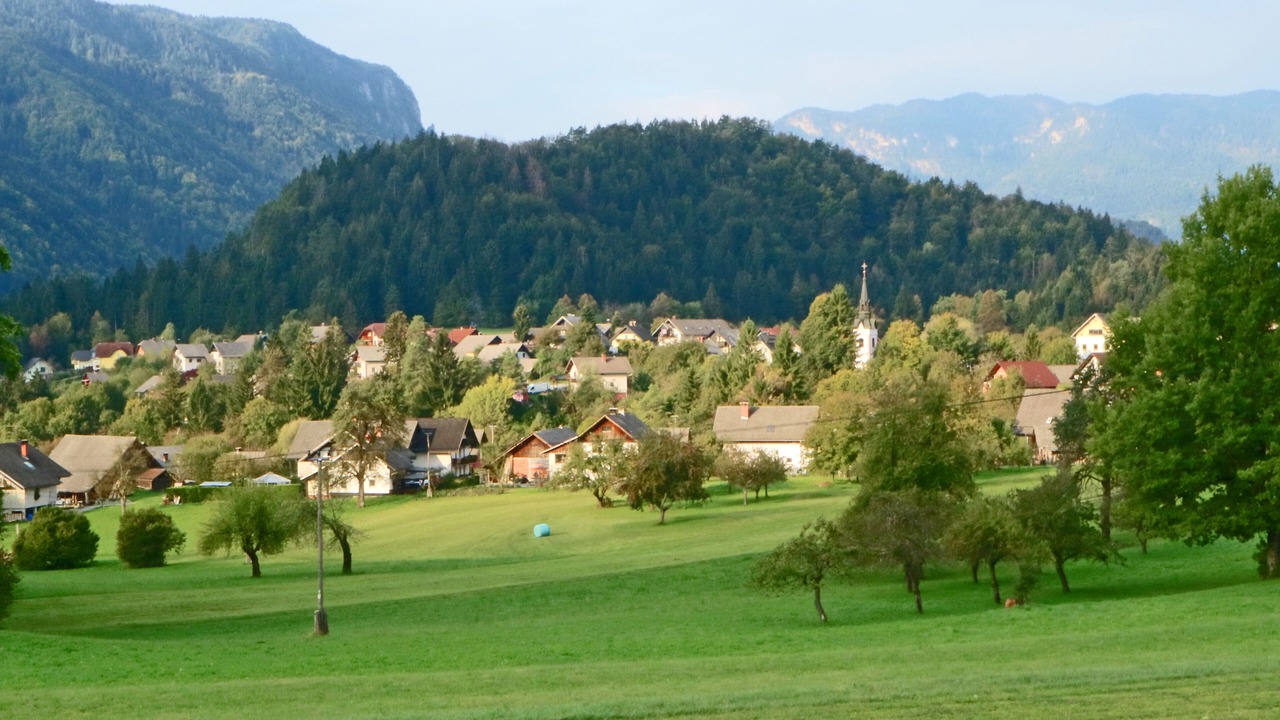 Photo of Others in Bled