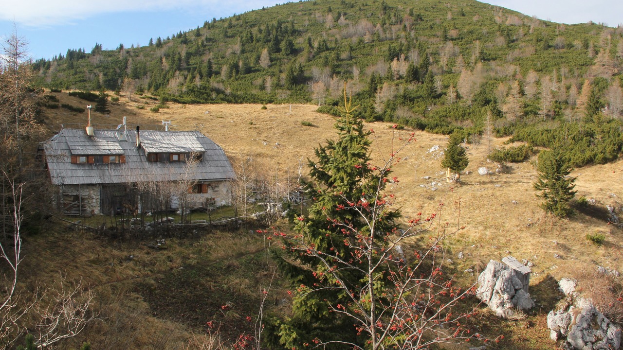 Photo of Outdoor in Kamnik