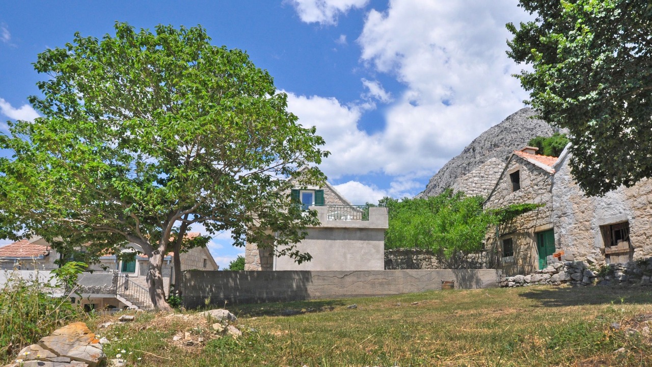 Photo of Outdoor in Borak