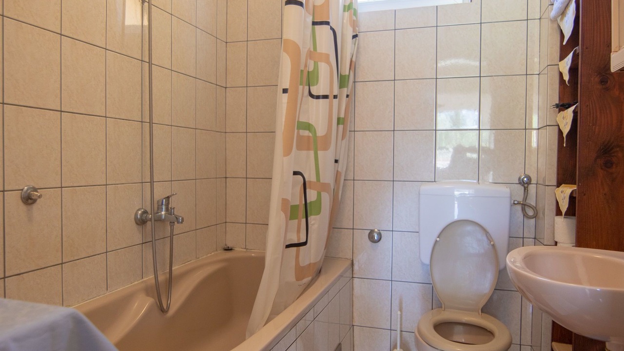 Photo of Bathroom in Smoljanac
