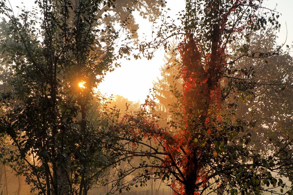 Photo of Outdoor in Plaski