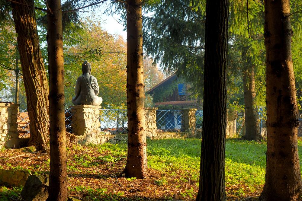 Photo of Outdoor in Plaski
