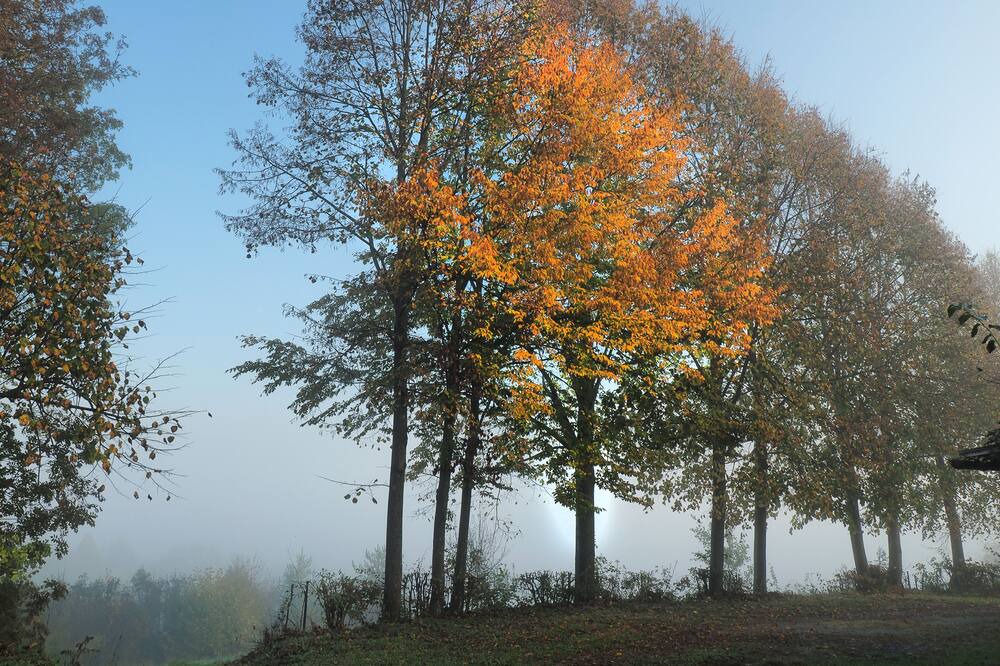 Photo of Outdoor in Plaski