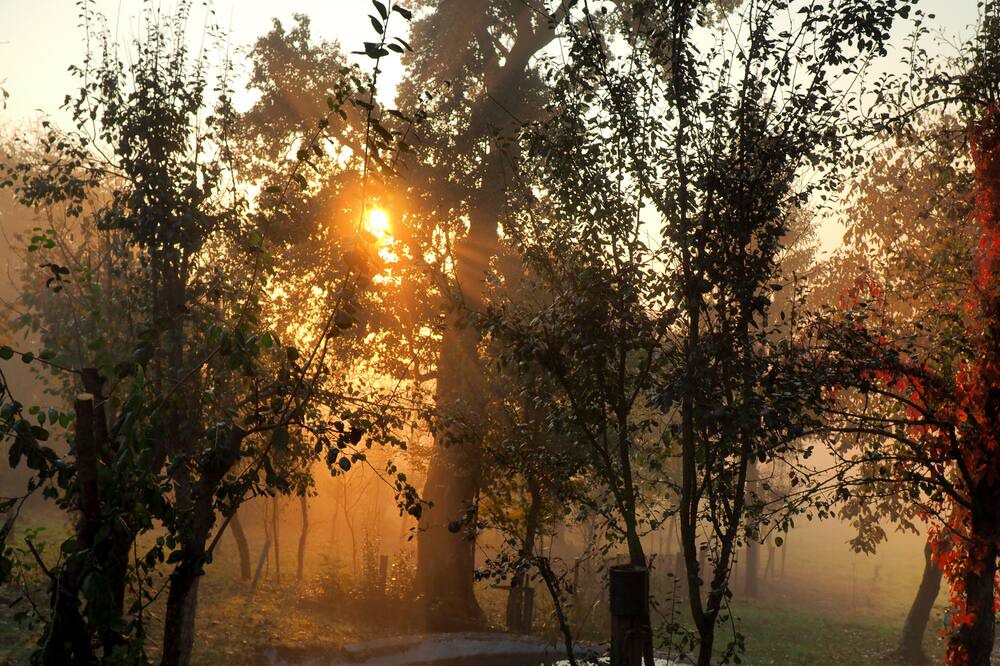 Photo of Outdoor in Plaski