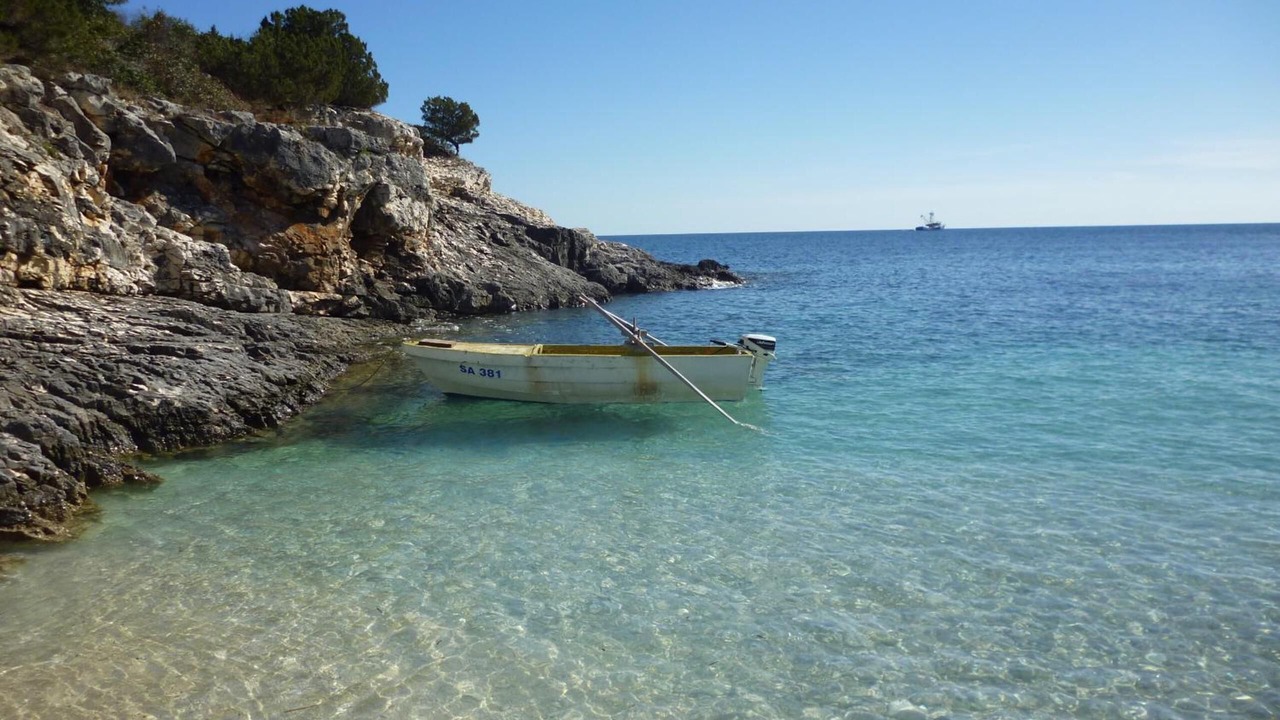 Photo of Others in Luka