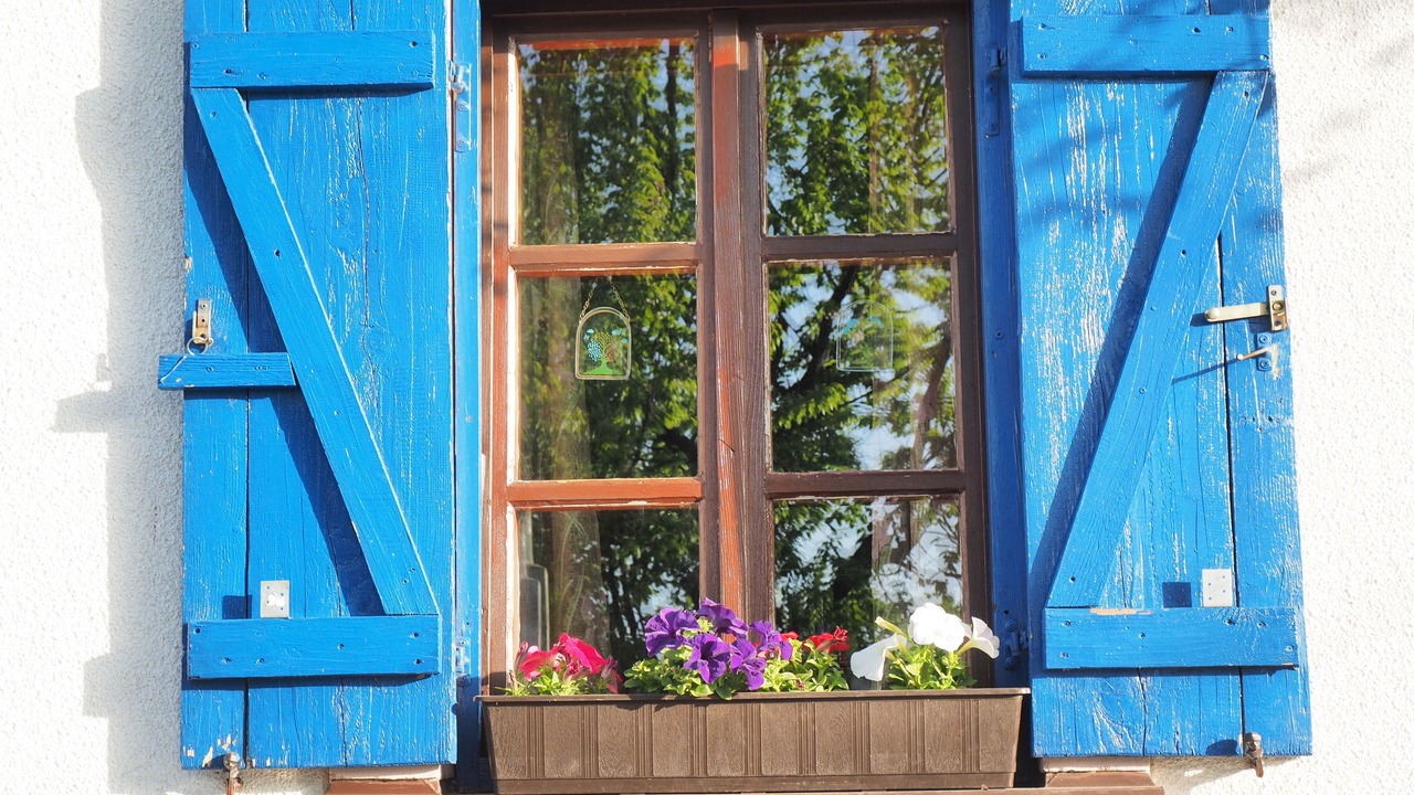 Photo of Outdoor in Plaski