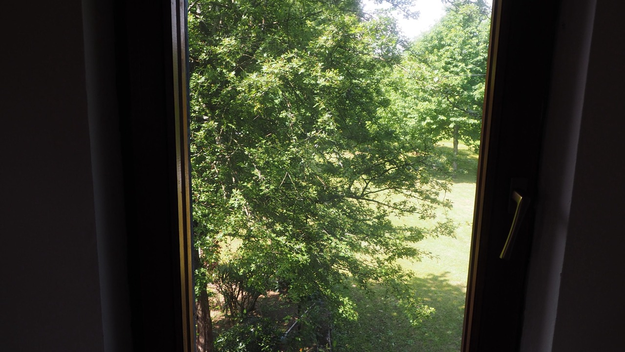 Photo of Outdoor in Plaski