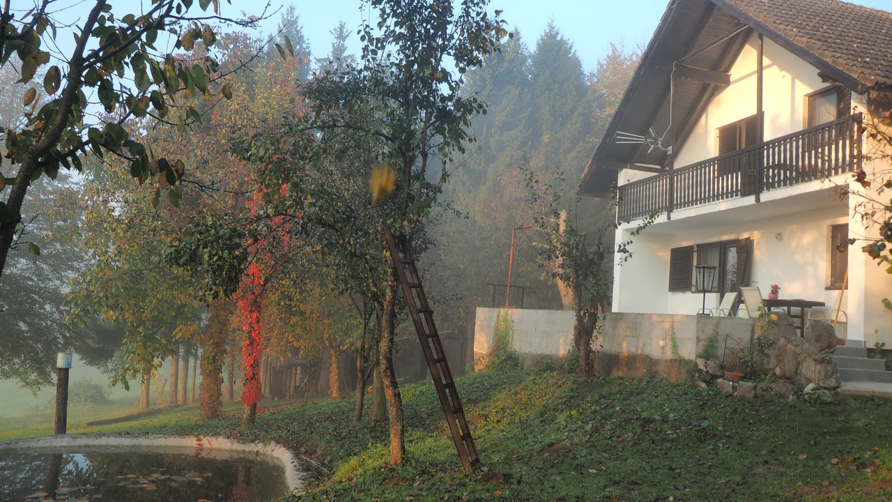 Photo of Outdoor in Plaski