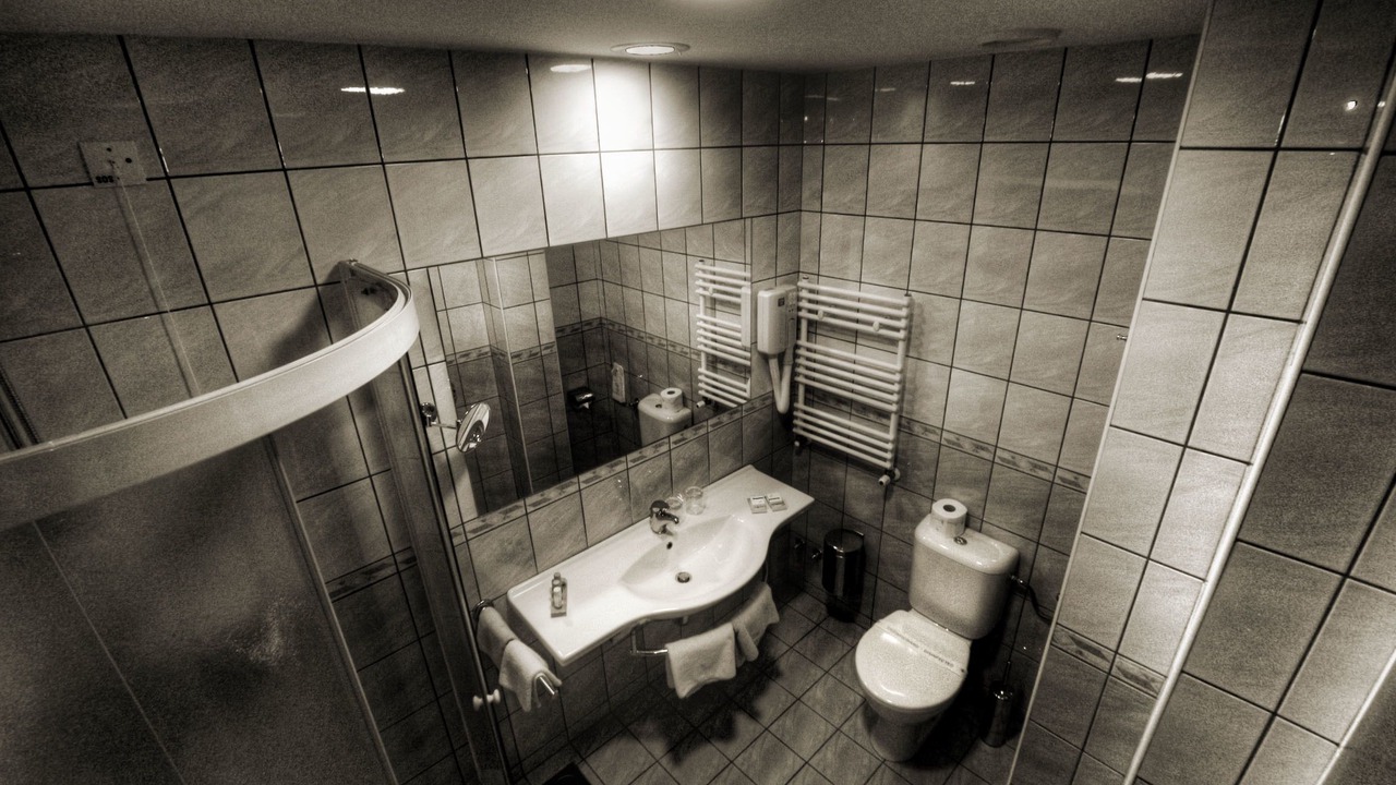 Photo of Bathroom in Vukovar