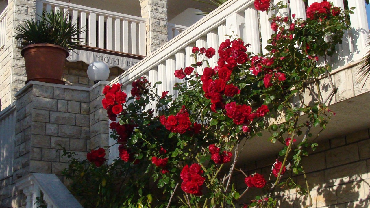 Photo of Outdoor in Arbanija