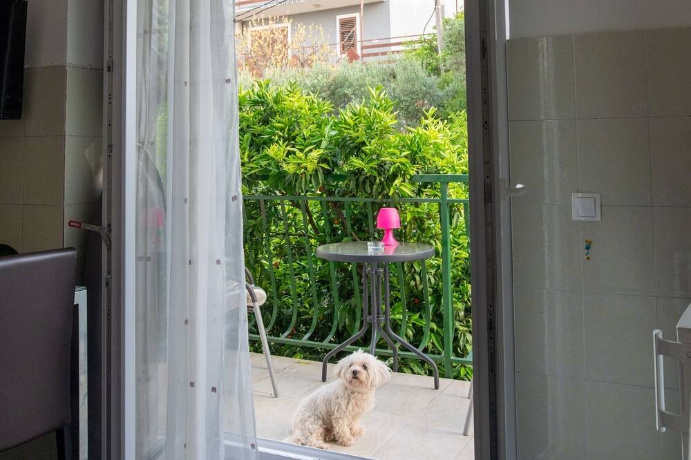 Photo of Patio Balcony in Arbanija