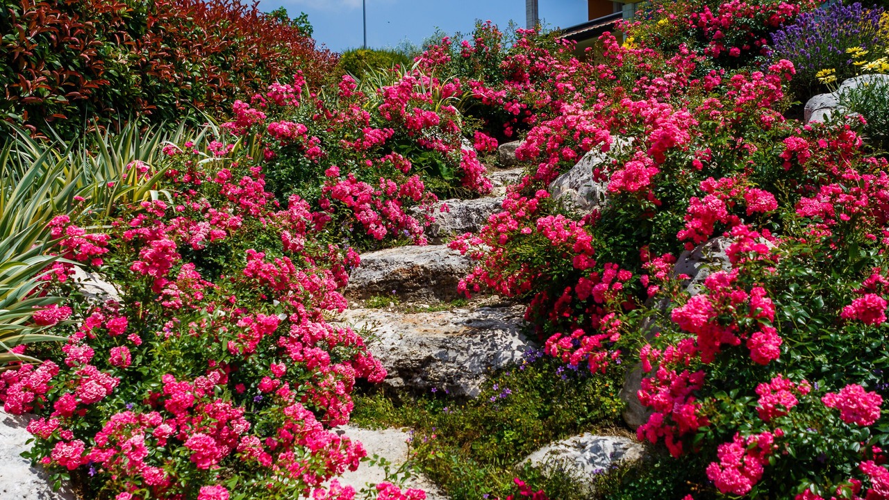 Photo of Outdoor in Materada