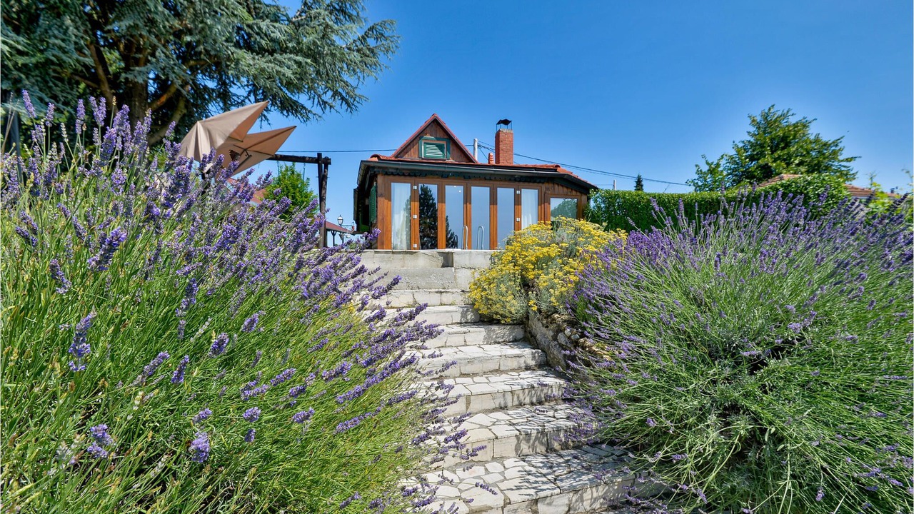 Photo of Outdoor in Gornji Kneginec
