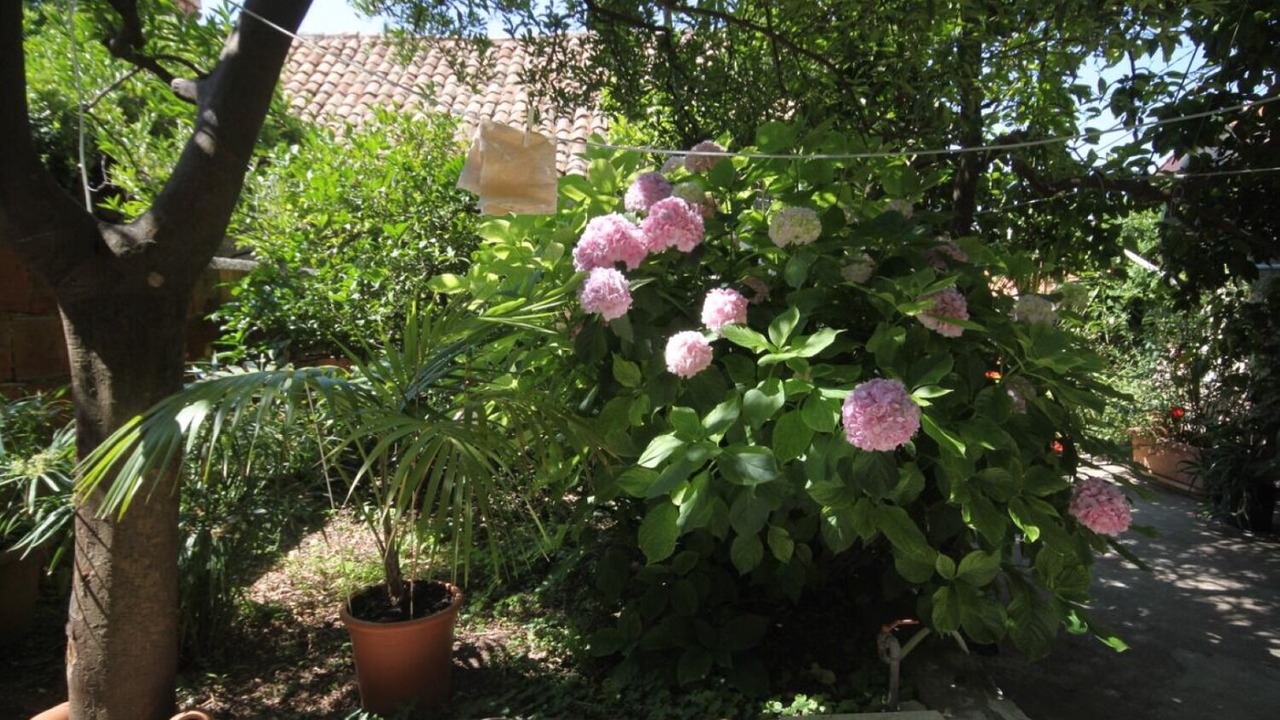 Photo of Outdoor in Cavtat Old Town