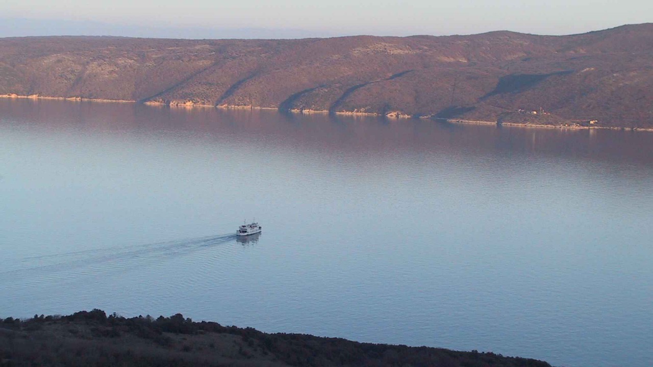Photo of Others in Cove Murtar