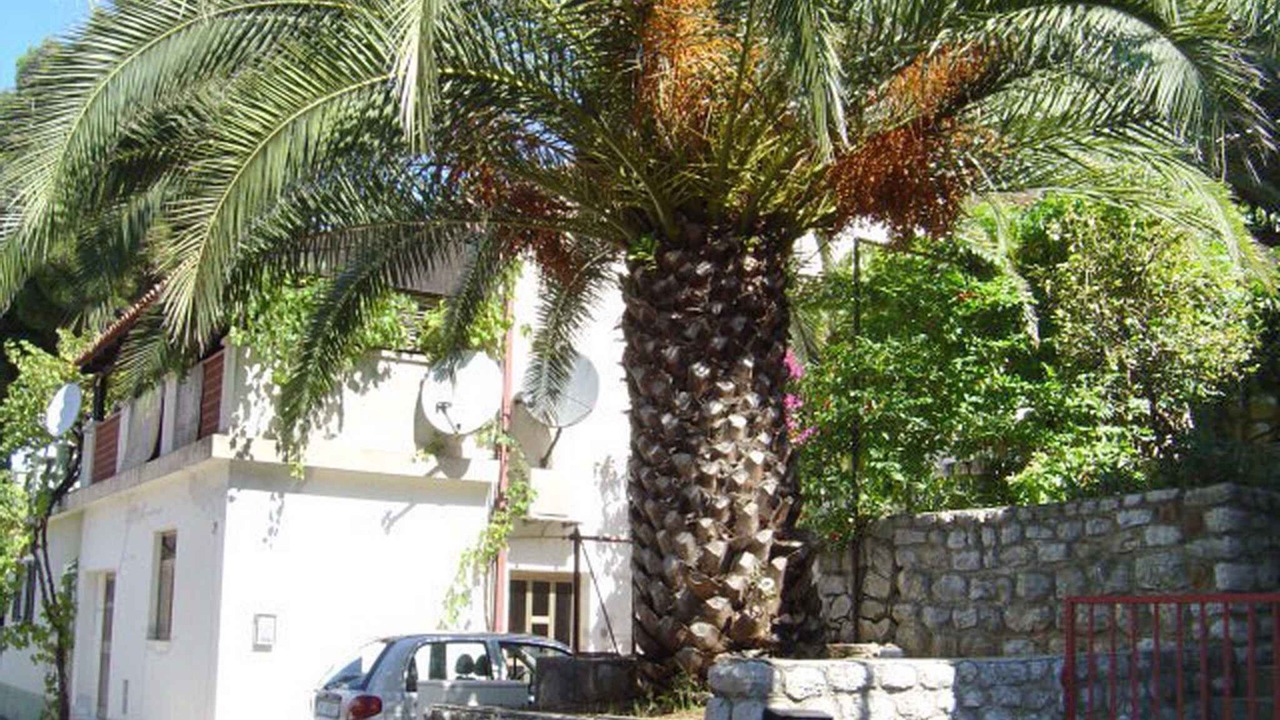 Photo of Outdoor in Cove Murtar