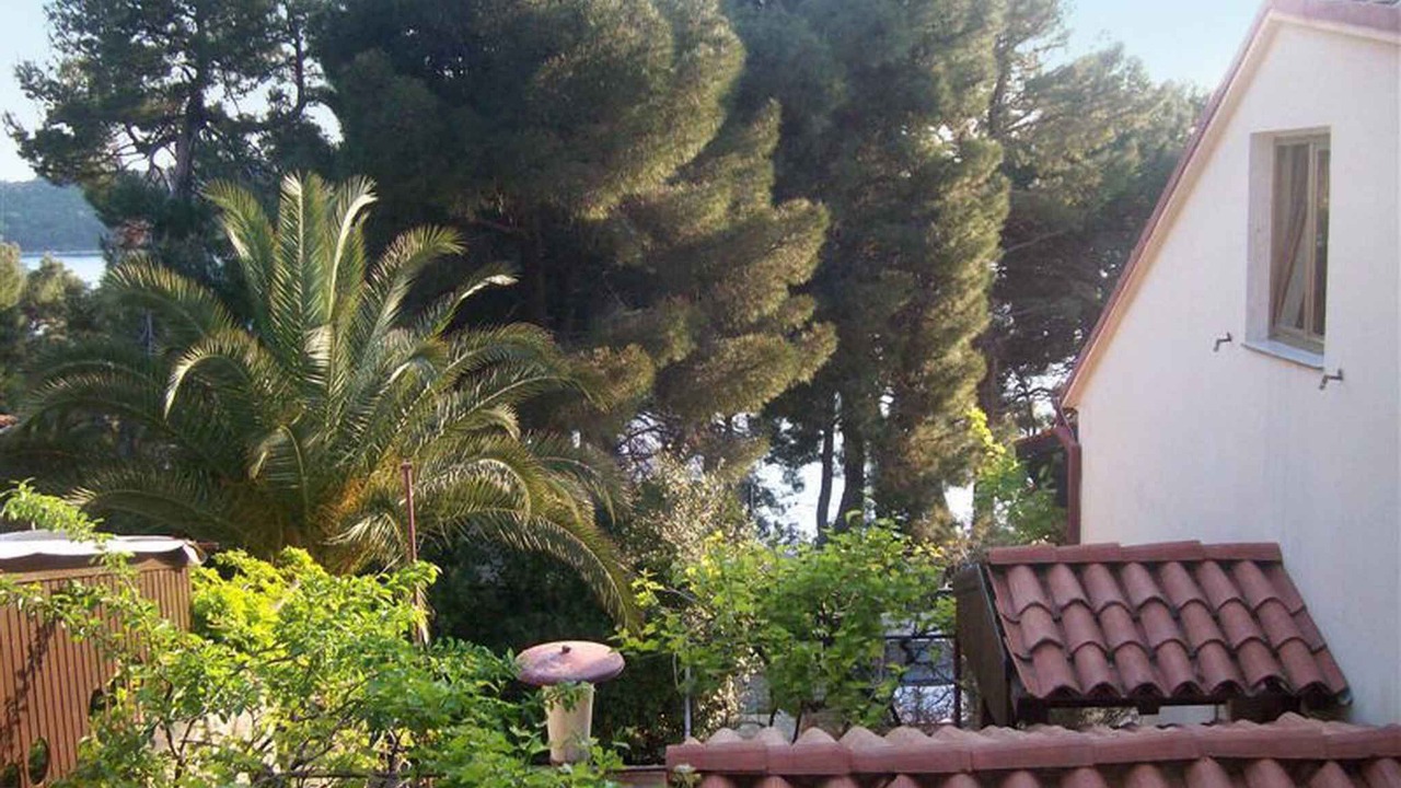 Photo of Outdoor in Cove Murtar
