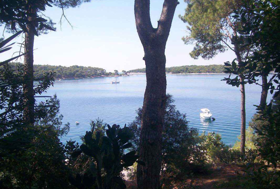 Photo of Others in Cove Murtar