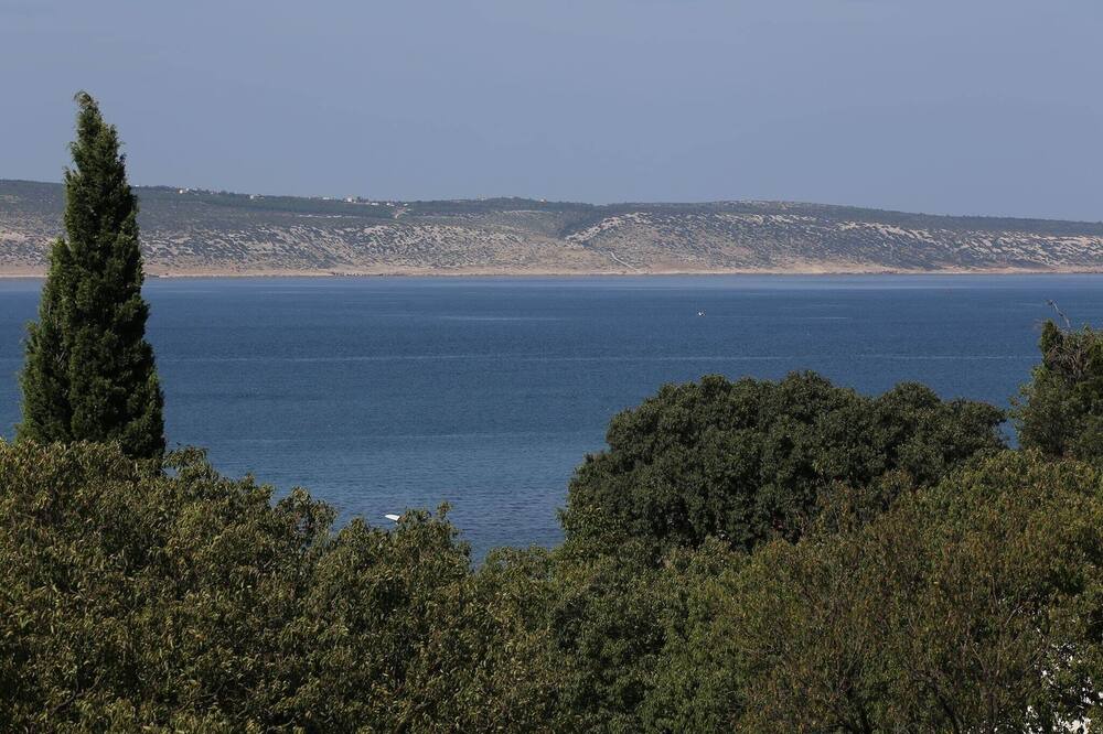Photo of Others in Seline