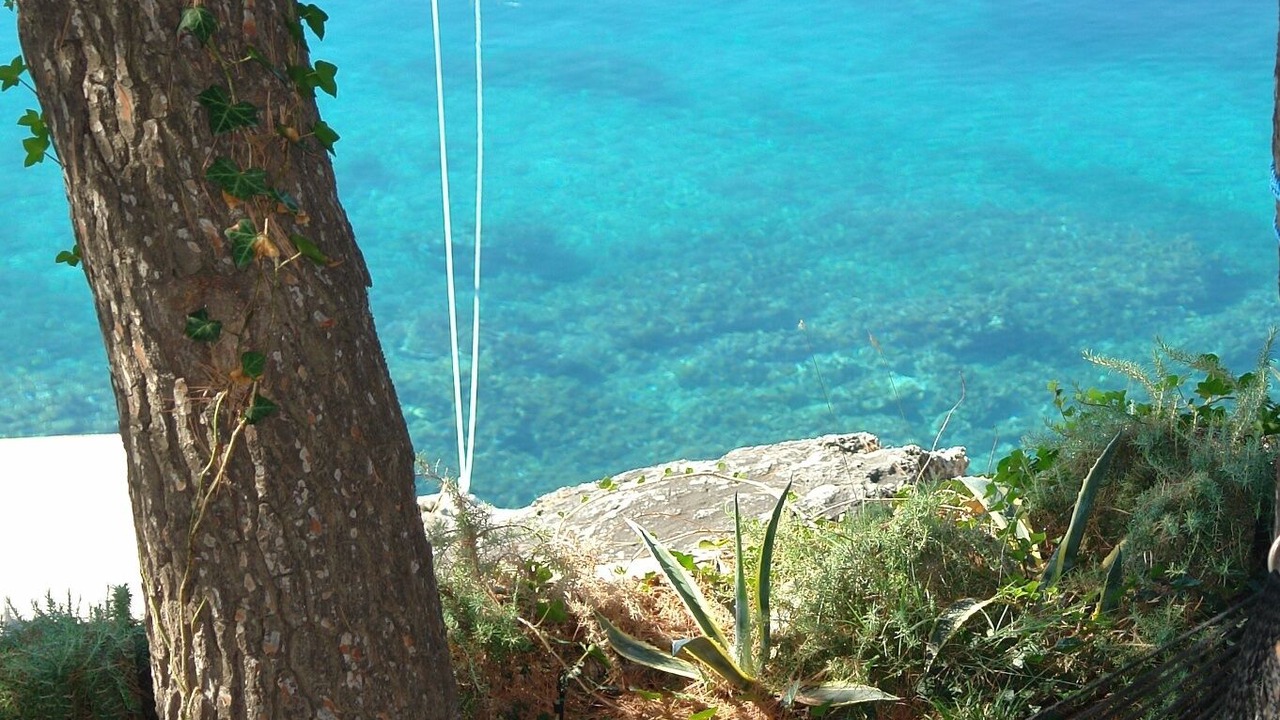 Photo of Others in Cove Basina (Jelsa)