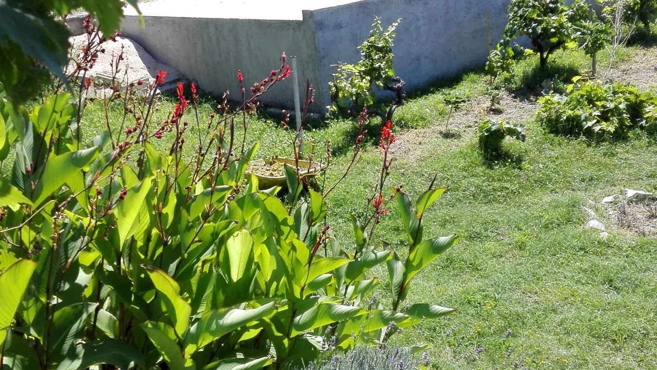 Photo of Outdoor in Rtina