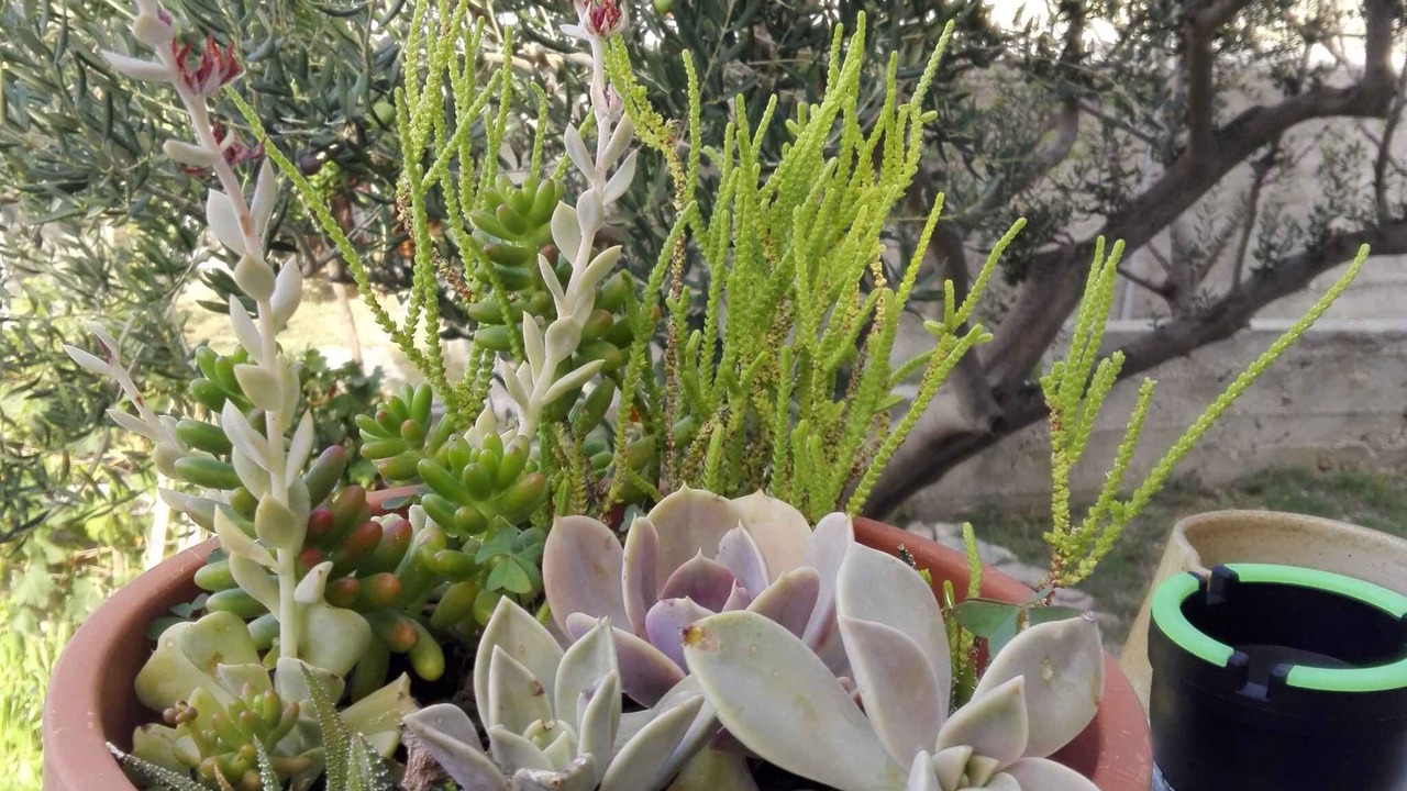 Photo of Outdoor in Rtina