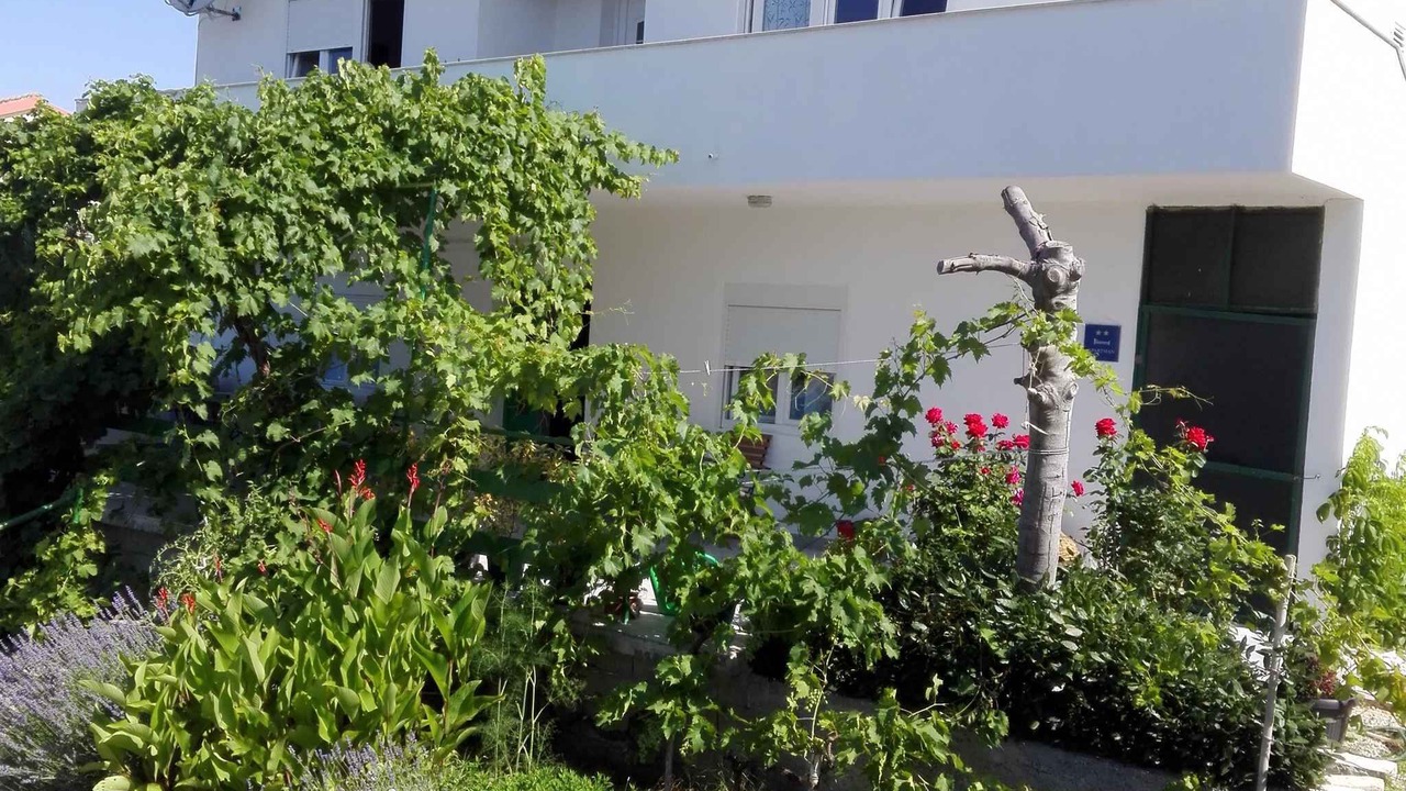 Photo of Outdoor in Rtina